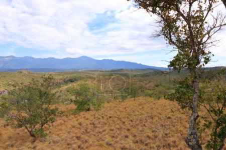 Photo for The landscape near the Rincon de la Vieja an guanacaste national park in Costa Rica - Royalty Free Image