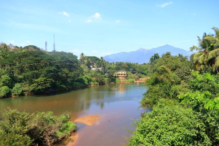 Téléchargez les photos : Vue depuis le sommet du pont Kuttyady (Kuttiady, Kuttyadi) vers la rivière et les montagnes, Khozikode, Kerala en Inde - en image libre de droit