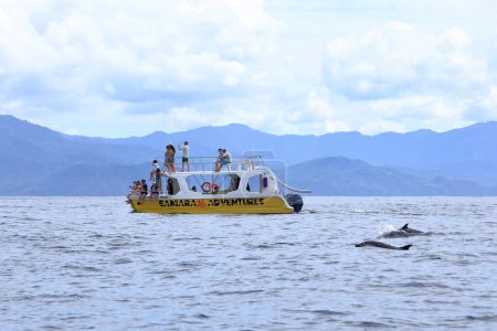 Téléchargez les photos : 14 mars 2023 - Samara, Guanacaste au Costa Rica : Excursion en bateau pour observer les dauphins dans le Pacifique avec des dauphins devant - en image libre de droit