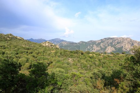 Foto de Paisaje de montaña En el sur de Córcega en Francia - Imagen libre de derechos