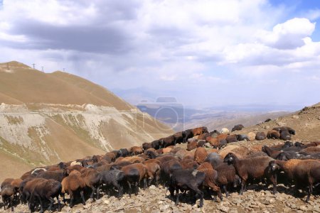 Foto de Vista desde Kaldaman pasar entre Arslanbob y Kazarman en Kirguistán, Asia Central - Imagen libre de derechos