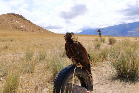 Foto de Un águila de Kirguistán Cazadores de águilas - Imagen libre de derechos