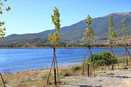 Téléchargez les photos : Été sur le lac Prespa en Albanie - en image libre de droit