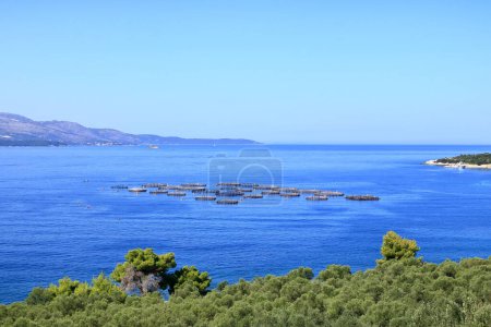 sea fish farm cages and fishing nets, albania