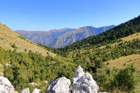 In den Tiefen des Llogara Nationalparks in Albanien. Unterwegs im albanischen Wald