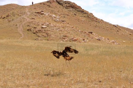 Foto de Kirguistán Los cazadores de águila demuestran la caza del águila - Imagen libre de derechos