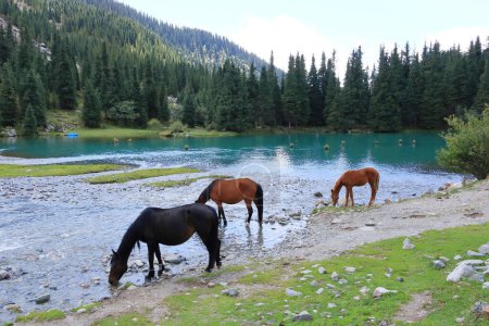 Der Gebirgssee Suttuu Bulak in der Kyrtschyn-Schlucht im Norden Kirgisistans in Zentralasien