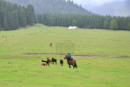 Foto de 28 de agosto de 2023 - Jeti Oguz, Región de Issyk-Kul en Kirguistán: los lugareños montan a caballo en las montañas en un día nublado - Imagen libre de derechos