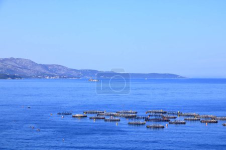 Käfige und Fischernetze für Meeresfischzucht, Albanien