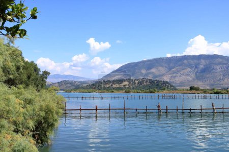 das Ufer des Butrint-Sees im Butrint-Nationalpark, Albanien