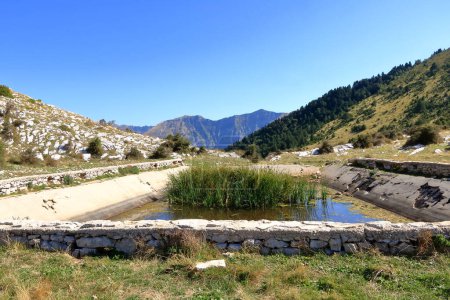 a Water basin in the middle of the Llogara National Park in Albania