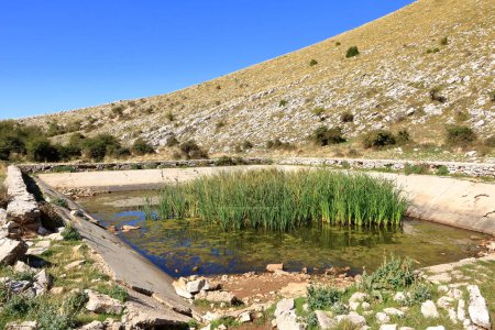 a Water basin in the middle of the Llogara National Park in Albania