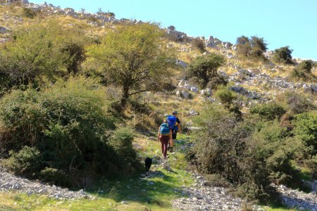 18 de septiembre de 2023 - Parque Nacional Llogara en Albania: La gente disfruta del senderismo en el bosque albanés