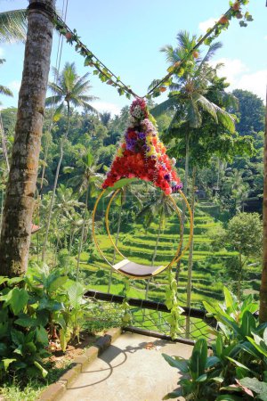 a swing at the beautiful rice field Tegallalang, Bali, Indonesia