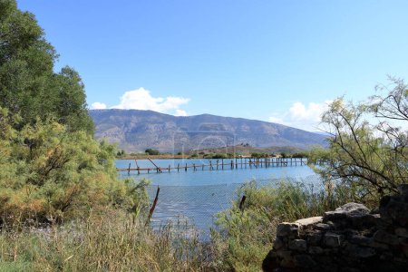 the Shore of Lake Butrint lagoon in Butrint National Park, Albania
