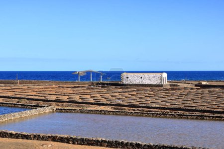 Foto de Salinas del Carmen, Fuerteventura en España - 24 de noviembre de 2023: Esqueleto de ballena cerca de las salinas en el océano altlántico - Imagen libre de derechos