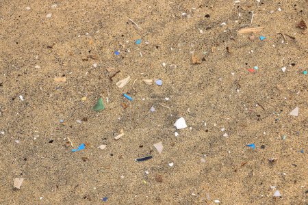 Microplastiques sur la plage de sable de Fuerteventura, Îles Canaries en Espagne, Océan Atlantique