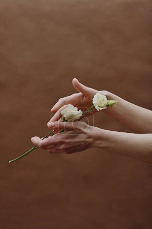 Großaufnahme weiblicher Hände, die schöne weiße Blume vor dem braunen Hintergrund halten