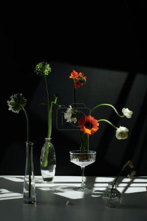 Vertical modern still life composition of various fresh flowers in transparent glass vases and coupe glass on table against black wall background, gobo lighting