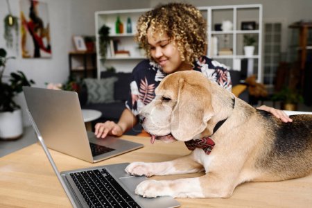 Netter Terrier-Hund in Fliege, der auf dem Tisch liegt und lernt, Laptop zu benutzen, während sein Herrchen online am Laptop im Hintergrund arbeitet