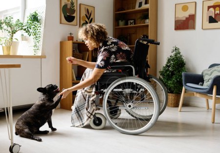 Téléchargez les photos : Africaine assise en fauteuil roulant et donnant des ordres à son chien, elle l'entraîne et passe du temps avec le chien pendant sa réadaptation à la maison - en image libre de droit