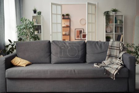 Image horizontale de grand canapé confortable debout dans le salon dans l'appartement