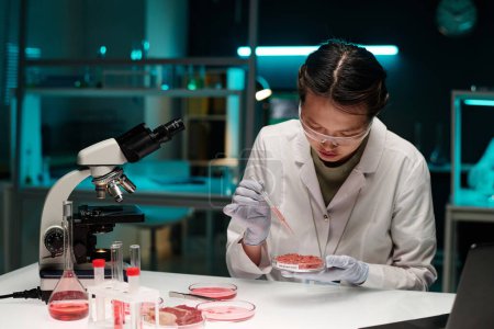 Femme scientifique goutte à goutte liquide rose sur la viande hachée dans une boîte de Pétri assise à son lieu de travail dans un laboratoire