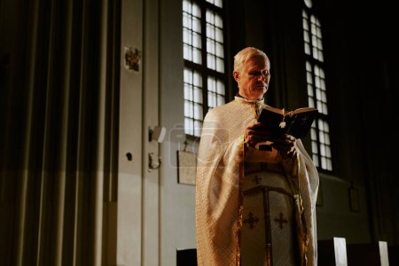 Medium long shot of senior Catholic priest wearing liturgical clothes standing indoors reading holy Bible book, copy space