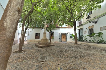 Plaza de Santa Marta in Sevilla with trees and no people. It is located near the Cathedral and can only be reached by a narrow road.