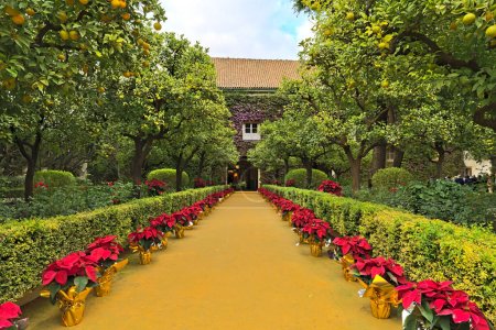Entrada del Palacio de las Duenas con flores rojas y sin visitantes