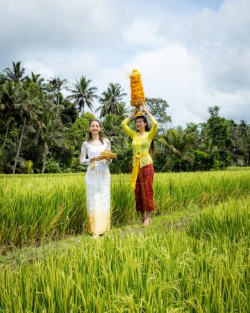 Téléchargez les photos : Femmes blanches vêtues de costumes traditionnels balinais portant des offrandes pour la cérémonie religieuse hindoue. Culture et religion. Offrandes faites de fleurs de souci. Riz à Bali, Indonésie - en image libre de droit