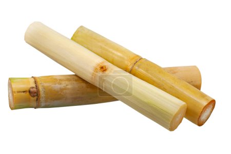 Photo for Single object of Sugar cane isolated on white background - Royalty Free Image