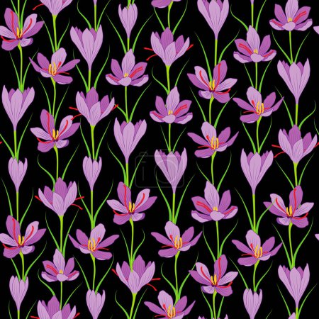 Foto de Ilustración de trama. Flor de azafrán púrpura sobre fondo negro patrón de repetición sin costuras. - Imagen libre de derechos