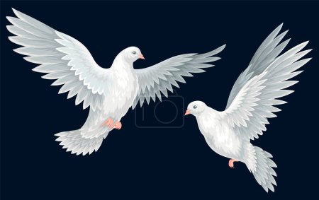 Schöne weiße Tauben. Plakat mit zwei Vögeln, die Frieden und Güte symbolisieren. Gestaltungselement für Karte, Einladung und soziales Netzwerk. Cartoon realistische Vektorillustration isoliert auf schwarzem Hintergrund