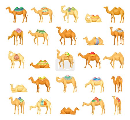 Ilustración de Conjunto de iconos de camello. Pegatinas con diferentes camellos del desierto egipcio o africano con accesorios de estilo tribal oriental. Mamíferos de Dubai con jorobas. Dibujos animados colección vector plano aislado en blanco - Imagen libre de derechos
