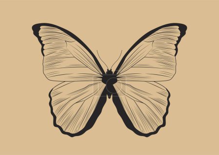 Ilustración de Concepto mariposa de línea. Graphium anttheus, insecto con alas. Estética y elegancia, moda, tendencia y estilo, glamour. Boceto para tatuaje. Dibujos animados ilustración vector plano - Imagen libre de derechos