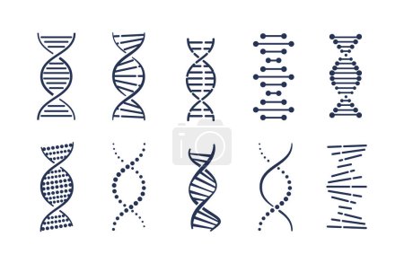 Illustration for DNA icons set. Collection of graphic elements for website. Structure of modlecule and cell. Microbiology, genetic and biochemistry. Cartoon flat vector illustrations isolated on white background - Royalty Free Image