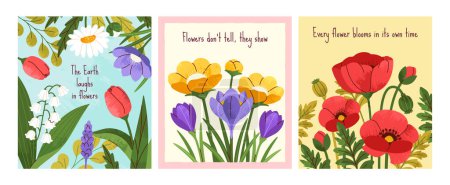 Illustration for Summer floral postcards set. Colored flowers posters. Blooming flora and botany. Field, meadow and wild plants, daisies, poppies and tulips. Cartoon flat vector collection isolated on white background - Royalty Free Image