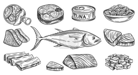 Croquis avec ensemble thon de mer. Décrivez de délicieux filets de poisson sains et des aliments en conserve pour les menus et le marché. Fruits de mer rétro et produits biologiques. Collection vectorielle dessinée à la main isolée sur fond blanc