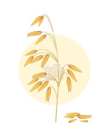 Illustration for Cereal crops ear concept. Plant from farms. Natural and organic ingredient. Farming and agriculture. Poster or banner for website. Cartoon flat vector illustration isolated on white background - Royalty Free Image