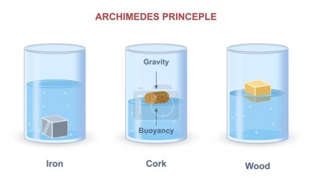Illustration for Archimedes principle experiment. Scheme with density and buoyancy of materials. Weight of iron, wood and cork in displaced fluid. Buoyancy force and gravity concept. Cartoon flat vector illustration - Royalty Free Image