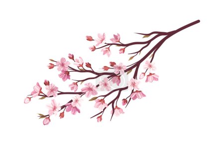 Téléchargez les illustrations : Sakura rose concept de branche. Partie de l'arbre et de la plante. Jardin japonais et asiatique. Flore et nature. Sticker pour les réseaux sociaux. Illustration vectorielle plate de bande dessinée isolée sur fond blanc - en licence libre de droit