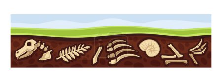 Illustration for Under earth layer concept. Ground and soil, land. Archeology and paleontology. Fossils and artifacts, bones of dinosaur. Cartoon flat vector illustration isolated on white background - Royalty Free Image