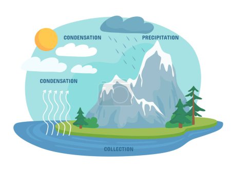 Rain infographics concept. Collection, condensation and precepitation processes in nature. Educational material for schoolers. Cartoon flat vector illustration isolated on white background