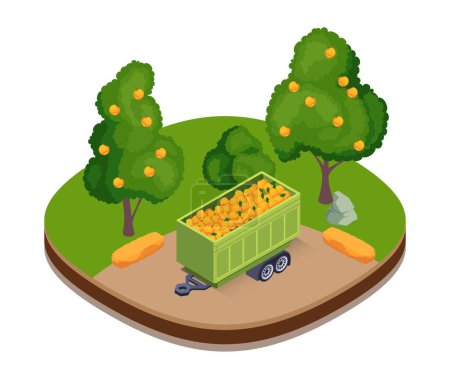 Photo for Isometric vector illustration of a harvest scene with a trailer full of oranges, trees, and farming tools on a green background, concept of agriculture. - Royalty Free Image