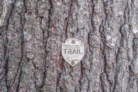 Foto de Una etiqueta de plástico clavada en un árbol para avisar de qué sistema de senderos está haciendo senderismo en Tennessee - Imagen libre de derechos