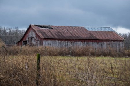 Photo for Empty and neglected old tattered barn in a once was farm being hidden by tall grasses and weeds on a cloudy rainy day in wintertime - Royalty Free Image