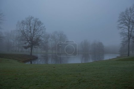 Téléchargez les photos : Brouillard épais et brouillard dans un étang sur un terrain de golf avec reflets des arbres dans l'eau au début de l'hiver - en image libre de droit