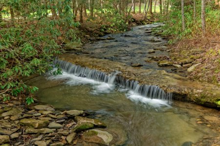 Ein breiter Bach mit einem kleinen Wasserfall voller Felsen und Geröll entlang des Weges im Wald, umgeben von Rhododendrons an einem sonnigen Tag im Spätwinter