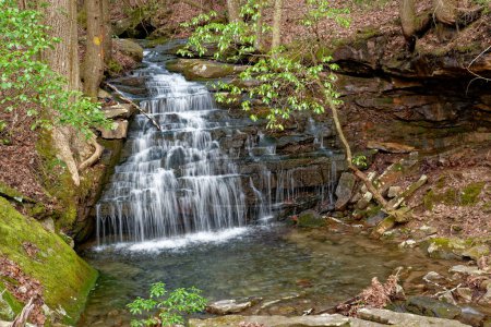 Foto de Vista frontal de la rama grande cae una cascada que fluye en el área natural del estado de las caídas de la Virgen en Tennessee en invierno tardío - Imagen libre de derechos
